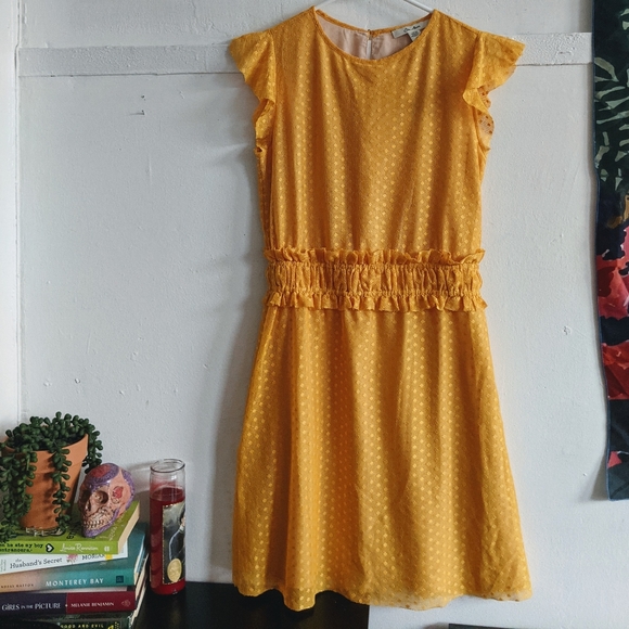 Ella Moon Yellow Polkadot Mesh Dress - Picture 4 of 5